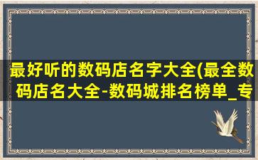 最好听的数码店名字大全(最全数码店名大全-数码城排名榜单_专业数码商城推荐)