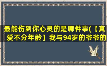 最能伤到你心灵的是哪件事(【真爱不分年龄】我与94岁的爷爷的感人故事)