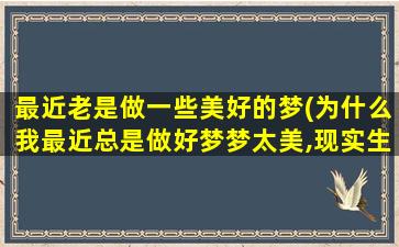 最近老是做一些美好的梦(为什么我最近总是做好梦梦太美,现实生活太令人失望。)