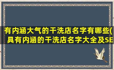 有内涵大气的干洗店名字有哪些(具有内涵的干洗店名字大全及SEO技巧)