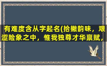 有难度含从字起名(拾撇韵味，艰涩险象之中，惟我独尊才华禀赋，纵横捭阖称霸*！)