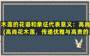 木莲的花语和象征代表意义：高尚(高尚花木莲，传递优雅与高贵的象征)