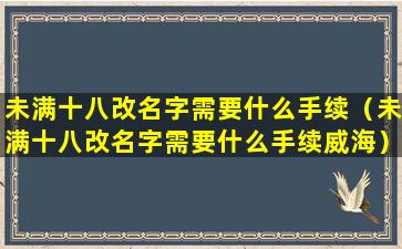 未满十八改名字需要什么手续（未满十八改名字需要什么手续威海）