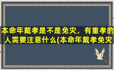 本命年戴孝是不是免灾，有重孝的人需要注意什么(本命年戴孝免灾？重孝需注意哪些事项？)