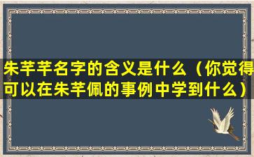 朱芊芊名字的含义是什么（你觉得可以在朱芊佩的事例中学到什么）