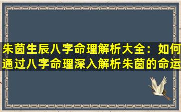 朱茵生辰八字命理解析大全：如何通过八字命理深入解析朱茵的命运与性格