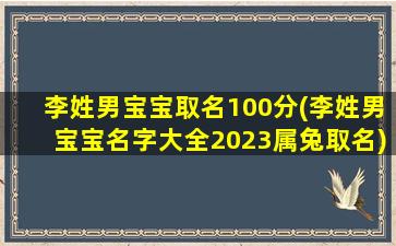 李姓男宝宝取名100分(李姓男宝宝名字大全2023属兔取名)