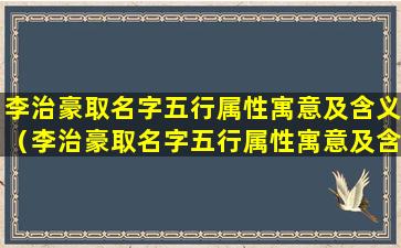 李治豪取名字五行属性寓意及含义（李治豪取名字五行属性寓意及含义男孩）