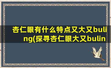 杏仁眼有什么特点又大又buling(探寻杏仁眼大又buling的特点，你需要知道的一切)