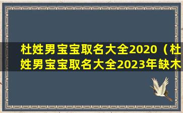 杜姓男宝宝取名大全2020（杜姓男宝宝取名大全2023年缺木和土的名字）