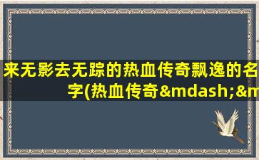 来无影去无踪的热血传奇飘逸的名字(热血传奇——飘逸名字背后的传奇故事)