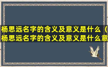 杨思远名字的含义及意义是什么（杨思远名字的含义及意义是什么意思）