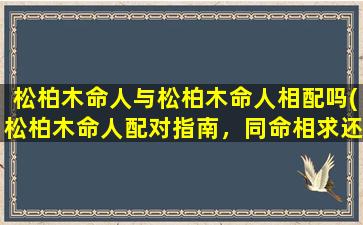 松柏木命人与松柏木命人相配吗(松柏木命人配对指南，同命相求还是相敬如宾？)