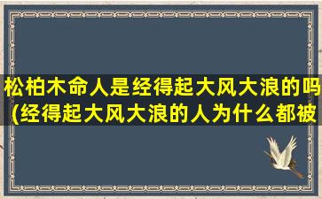 松柏木命人是经得起大风大浪的吗(经得起大风大浪的人为什么都被称为松柏木命人？)