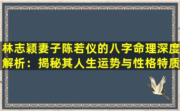 林志颖妻子陈若仪的八字命理深度解析：揭秘其人生运势与性格特质