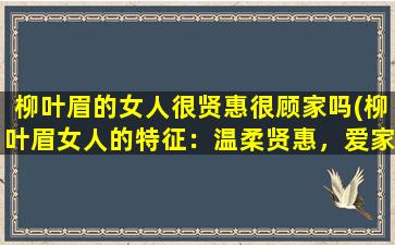 柳叶眉的女人很贤惠很顾家吗(柳叶眉女人的特征：温柔贤惠，爱家爱人，受到男人喜爱的原因是什么？)