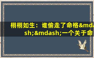 栩栩如生：谁偷走了命格——一个关于命运与神秘窃贼的疑问