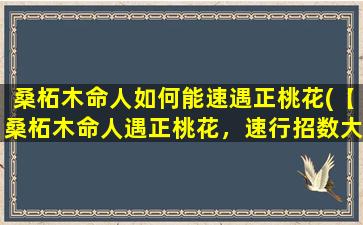 桑柘木命人如何能速遇正桃花(【桑柘木命人遇正桃花，速行招数大揭晓！】)