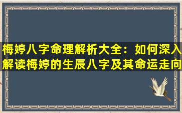 梅婷八字命理解析大全：如何深入解读梅婷的生辰八字及其命运走向