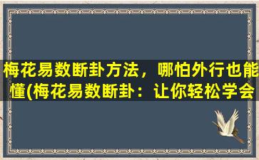 梅花易数断卦方法，哪怕外行也能懂(梅花易数断卦：让你轻松学会占卜未来的方法！)