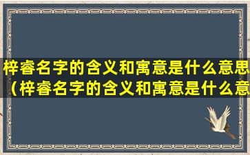 梓睿名字的含义和寓意是什么意思（梓睿名字的含义和寓意是什么意思啊）