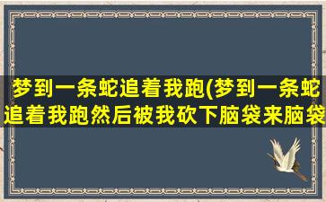 梦到一条蛇追着我跑(梦到一条蛇追着我跑然后被我砍下脑袋来脑袋咬了我一口)