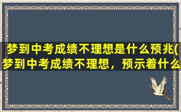 梦到中考成绩不理想是什么预兆(梦到中考成绩不理想，预示着什么？)