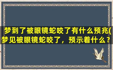 梦到了被眼镜蛇咬了有什么预兆(梦见被眼镜蛇咬了，预示着什么？解梦大揭秘！)