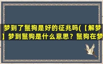 梦到了鬣狗是好的征兆吗(【解梦】梦到鬣狗是什么意思？鬣狗在梦中代表什么？)