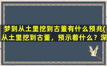 梦到从土里挖到古董有什么预兆(从土里挖到古董，预示着什么？深入解读这个梦境的含义)