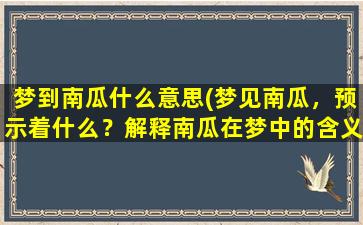 梦到南瓜什么意思(梦见南瓜，预示着什么？解释南瓜在梦中的含义)