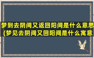 梦到去阴间又返回阳间是什么意思(梦见去阴间又回阳间是什么寓意？解梦专家告诉你！)