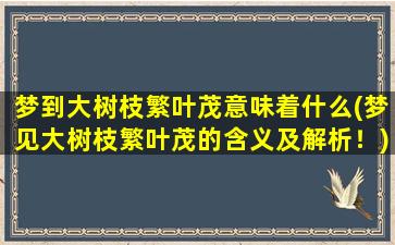 梦到大树枝繁叶茂意味着什么(梦见大树枝繁叶茂的含义及解析！)