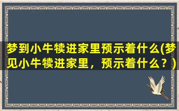 梦到小牛犊进家里预示着什么(梦见小牛犊进家里，预示着什么？)