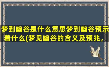 梦到幽谷是什么意思梦到幽谷预示着什么(梦见幽谷的含义及预兆，揭示梦境中的幽谷隐藏的秘密！)