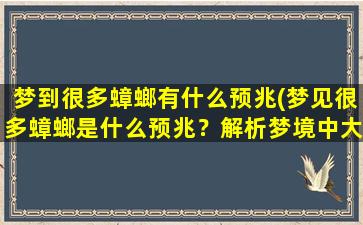 梦到很多蟑螂有什么预兆(梦见很多蟑螂是什么预兆？解析梦境中大量蟑螂的意义)