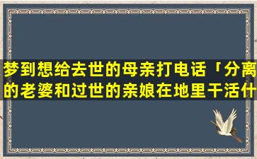 梦到想给去世的母亲打电话「分离的老婆和过世的亲娘在地里干活什么意思」