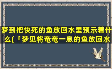 梦到把快死的鱼放回水里预示着什么(「梦见将奄奄一息的鱼放回水中，意味着什么？」)