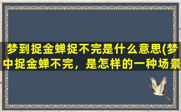 梦到捉金蝉捉不完是什么意思(梦中捉金蝉不完，是怎样的一种场景呢？)