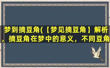 梦到摘豆角(【梦见摘豆角】解析，摘豆角在梦中的意义，不同豆角的预示)