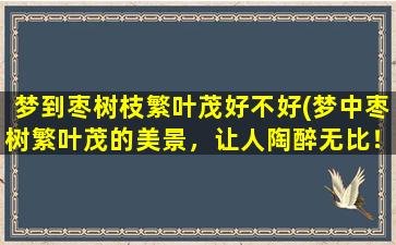 梦到枣树枝繁叶茂好不好(梦中枣树繁叶茂的美景，让人陶醉无比！)