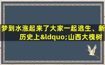 梦到水涨起来了大家一起逃生、新历史上“山西大槐树”有哪些故事