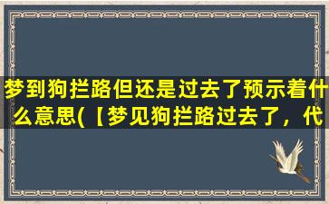 梦到狗拦路但还是过去了预示着什么意思(【梦见狗拦路过去了，代表什么？】)