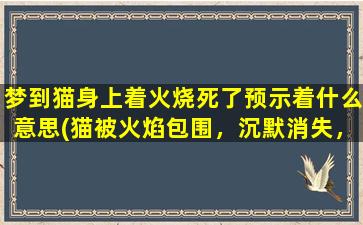 梦到猫身上着火烧死了预示着什么意思(猫被火焰包围，沉默消失，预示着什么？)