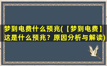 梦到电费什么预兆(【梦到电费】这是什么预兆？原因分析与解读)