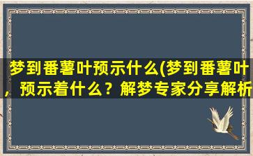 梦到番薯叶预示什么(梦到番薯叶，预示着什么？解梦专家分享解析)