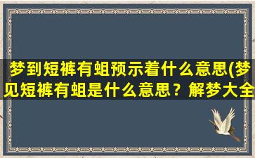 梦到短裤有蛆预示着什么意思(梦见短裤有蛆是什么意思？解梦大全中的分析)