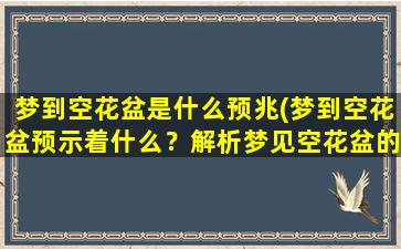 梦到空花盆是什么预兆(梦到空花盆预示着什么？解析梦见空花盆的意义)