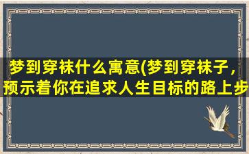 梦到穿袜什么寓意(梦到穿袜子，预示着你在追求人生目标的路上步步稳健)