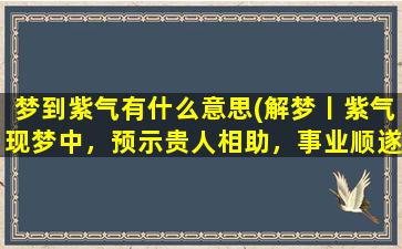 梦到紫气有什么意思(解梦丨紫气现梦中，预示贵人相助，事业顺遂，恰逢其时！)